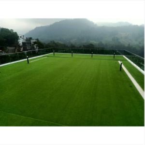 High Durability 60mm Garden Fake Grass Double Wave Monofilament