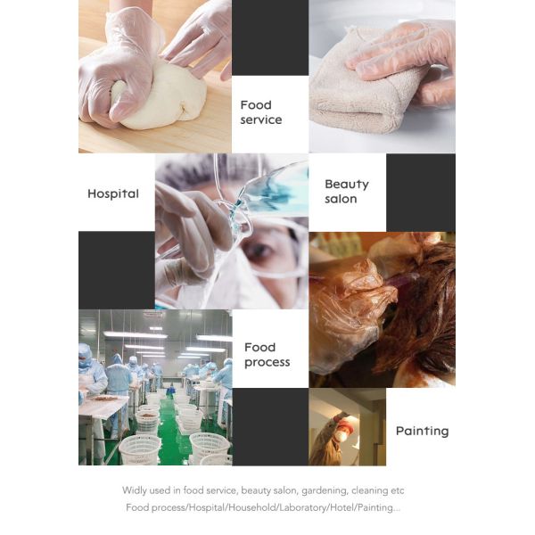 OEM & ODM Xl Vinyl Disposable Gloves