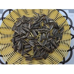 Original Flavor Salt Vinegar Sunflower Seeds