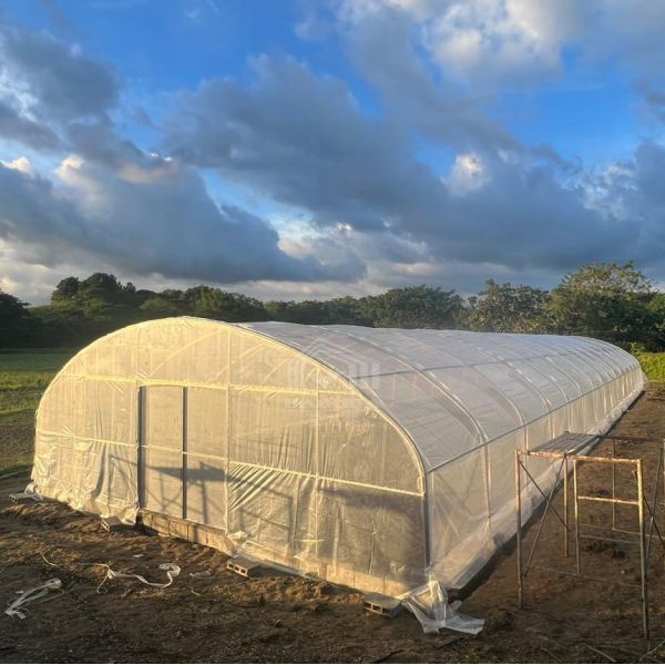Buy Custom Tunnel Greenhouse 8x30m Agricultural Greenhouse Kit For Planting at wholesale prices
