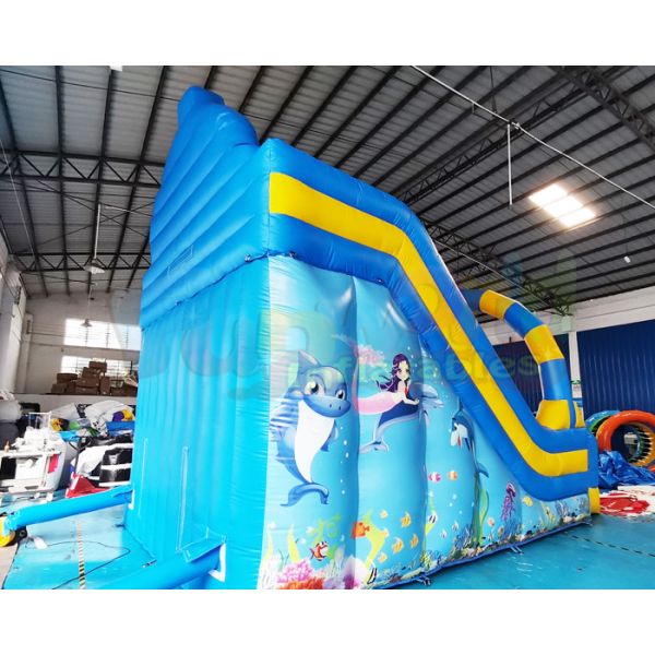 ROHS Commercial Inflatable Slide Children Bounce House In Backyard