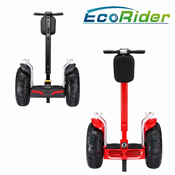 2 Wheel Electric Chariot Scooter , Self Balancing Electric Segway Scooter with
