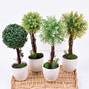 Buy cheap Mini Potted Plants for Sale from wholesalers