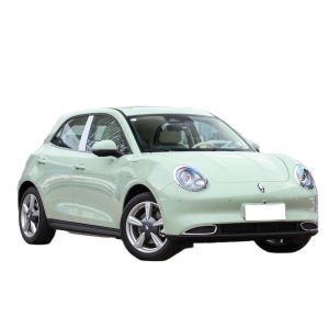 hot-selling 2022 Euler the good cat new energy car Pure electric 143 horsepower