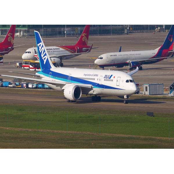 Security DHL International Air Freight Shipping With Warehouse Provided