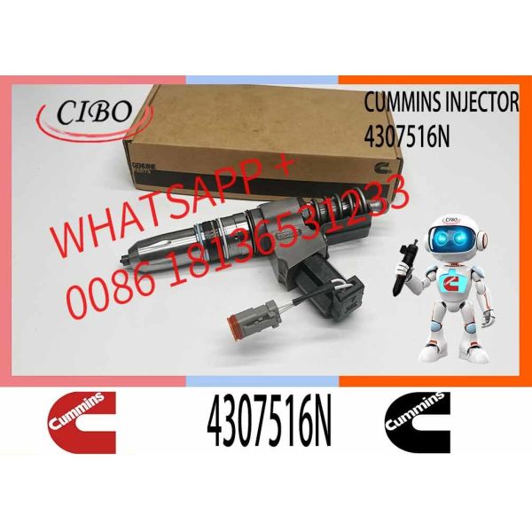 Remanufactured Quality N14 Series Fuel Injector Assy 4307516N Injector Part NO.