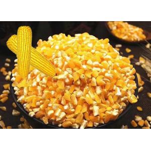 Premium Corn Major Agricultural Products , Agricultural Food Products Dried