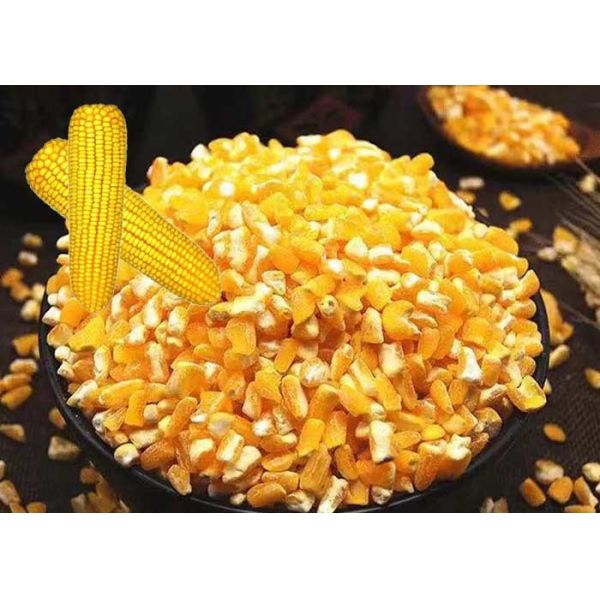 Premium Corn Major Agricultural Products , Agricultural Food Products Dried