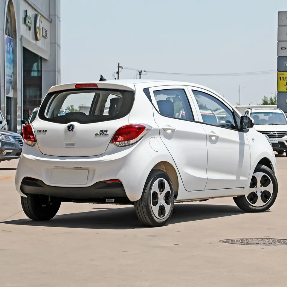 55kw High Speed Electric Car with 301km Driving Range and 3770*1650*1570mm Dimensions