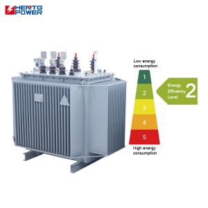 Low Loss Oil-Immersed Distribution Transformer 800kVA 20kV for Grid Applications