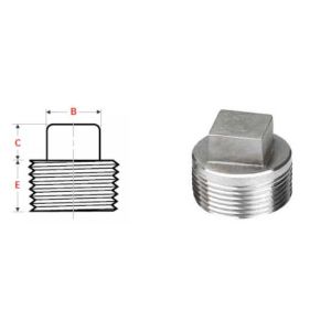 Hex Head SCH STD GB Stainless Steel Forged Fittings