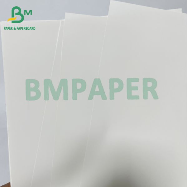 Smooth 180 Mic Anti - allergic Medical Thermal Synthetic Paper Sheet