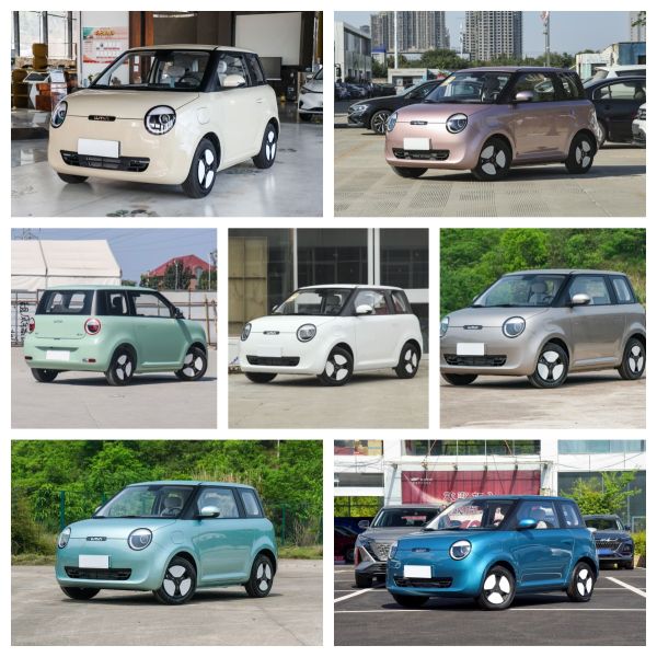 Changan Lumin Stock Luxury 4-Wheel Electric Car 301km Range 101km/h Mini Electric Vehicle with Pure Electric Energy Type