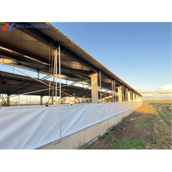 Buy Easy Build Piggery Shed Construction Steel Structure Cow House Construction at wholesale prices