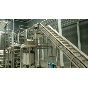 Complete Kale Processing Line Celery/Kale/Cucumber Production Plant Customized