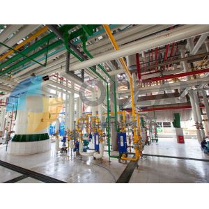 China ISO9001 Edible Oil Extraction Plant Turnkey Crude Oil Extraction Plant on sale