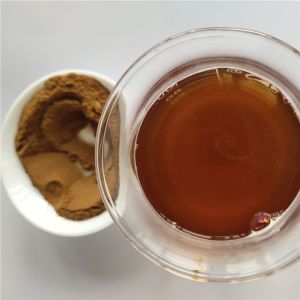 Medicine Grade Purslane Extract For Detoxification