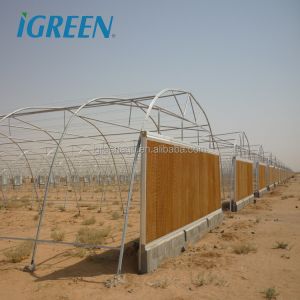 Hot Climate Tomato Plant Greenhouse 150 Micron Plastic Film Cover