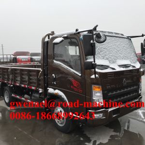 Sinotruck New 4-6t CDW 65HP Light Duty Dump Truck Euro II Emission Standard Howo