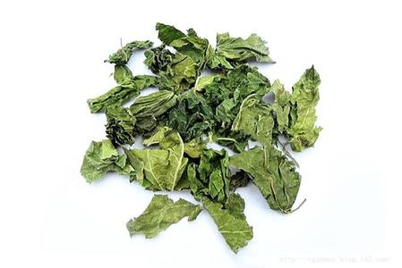 Eucommia Ulmoides P.E. Chlorogenic acid 30%,98%, CAS No.: 327-97-9, Antioxidant,