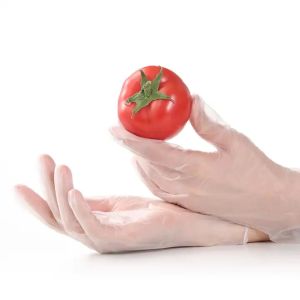 Waterproof Disposable Vinyl Gloves Transparent Use For Kitchen