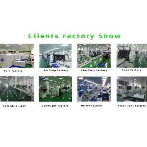 Fully Automatic Stencil Printer Machine PC Control Programmable Speed