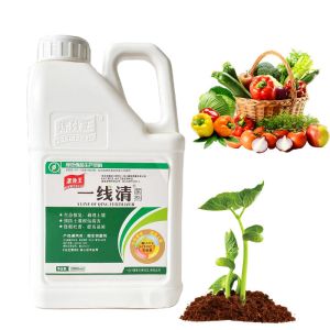Seaweed Extract Soil Conditioner Fertilizer Provide Nutritions And Healthy For