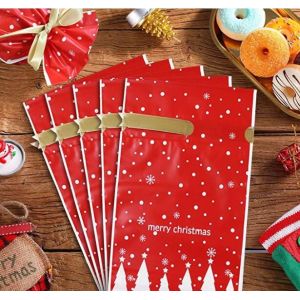 Gravure Printing LDPE Drawstring Holiday Gift Bags