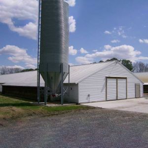 Custom Modern Steel Frame House , High Strength Metal Chicken House