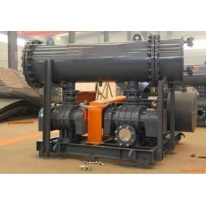 Efficiently Boost Your Production with Our Customized Roots Blower Vacuum Pump