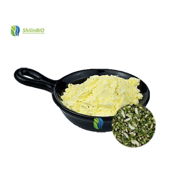 Buy Wholesale High Quality Sophora Japonica Extract 95%  98% Quercetin at wholesale prices