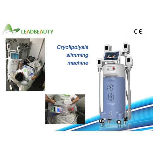 Buy Salon Use Fat Freezing cryolipolysis fat freeze slimming machine at wholesale prices