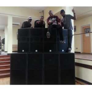 Party Disco Passive Speaker Box Pro Entertainment System Black Paint