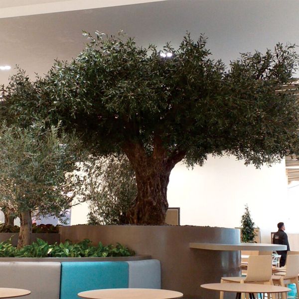 Buy Factory Price Large Artificial Olive Tree, a Large Ornamental Fiberglass Tree for Indoor Restaurants and Shopping Malls at wholesale prices