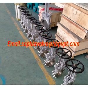 rising stem ANSI stainless steel knife gate valve
