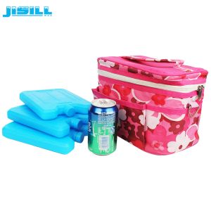 HDPE Plastic Ice Pack Cooler For Outdoor Drink Cooling FDA Approved