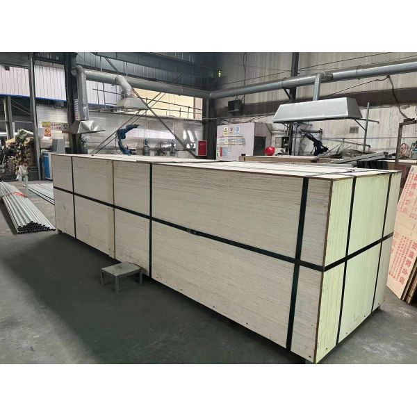 PE/PO Film Galvanised Steel Greenhouse For Mushroom Cultivation