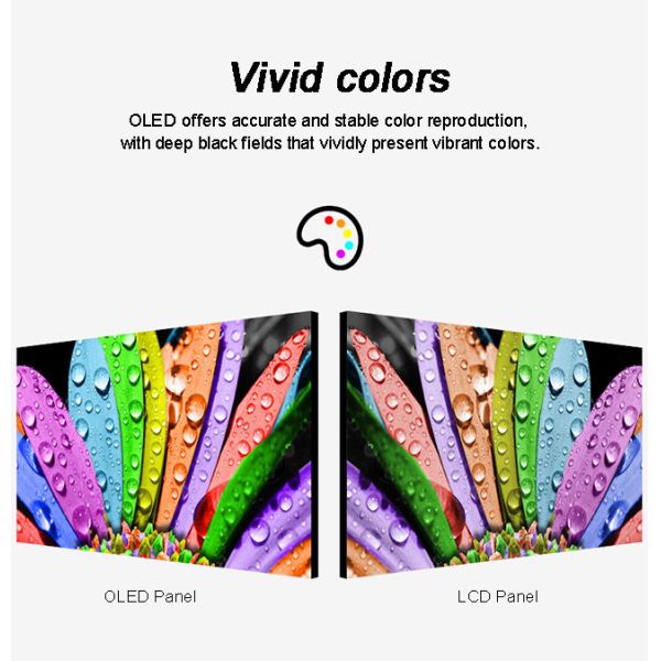 Full HD 55 Transparent OLED Touch Screen See Through OLED Display