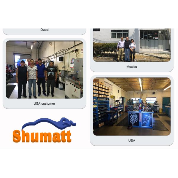 Genuine CR Shumatt Injector Orifice Plate 295040-6290 for diesel fuel engine