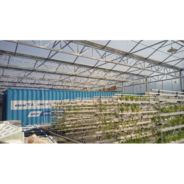 Aquaponics Greenhouse Hydroponics Growing System Fish Tank For Fish And Vegetable