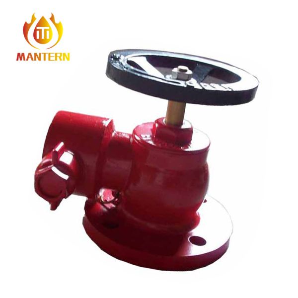 DN65 Size Fire Hydrant Landing Valve , Landing Valve In Fire Fighting System