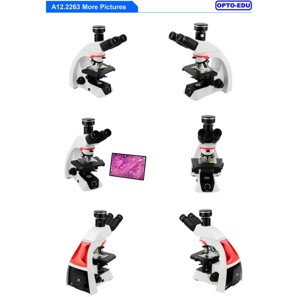 OPTO-EDU A12.2263 Infinity Trinocular Biological Laboratory Microscope