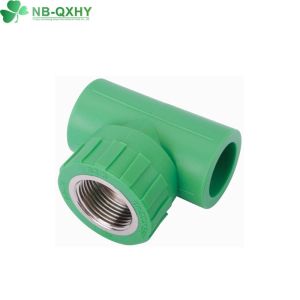 Direct Supply PPR Pipe Fittings 20mm to 160mm Customized Request