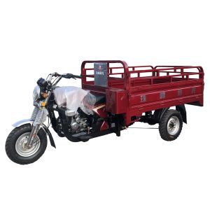 China ISO Gasoline 200w 2t Cargo Trike Motorcycle on sale