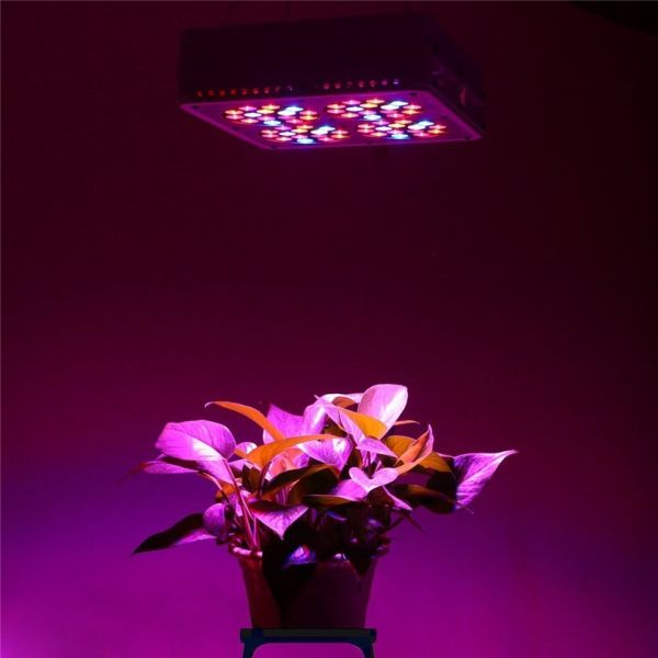Buy 180W 4 Modules APOLLO LED Hydroponic Plant Lamp Grow light at wholesale prices