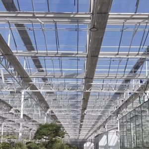 Large and Venlo Style Glass Agricultural Greenhouse with Automatic Control