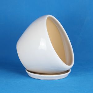 Stunning Plant Display With Our Ceramic Pots Affordable Prices