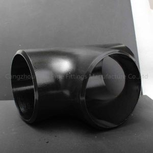 DN50 DN65 Steel Butt Weld Fittings ASTM WPB Seamless Eccentric Reducing Tee
