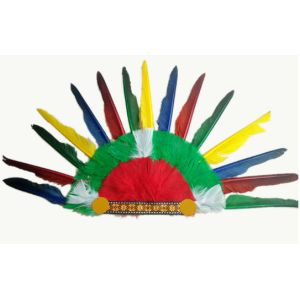 Indian headdress, ground anfield dress party outfit, feather headdress, chief