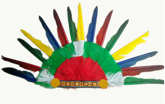 Indian headdress, ground anfield dress party outfit, feather headdress, chief hat.